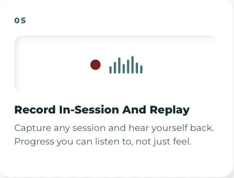 Record in-session and replay